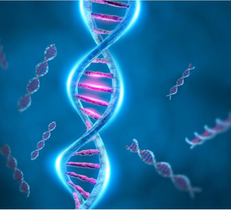 All mutations and their apperances?